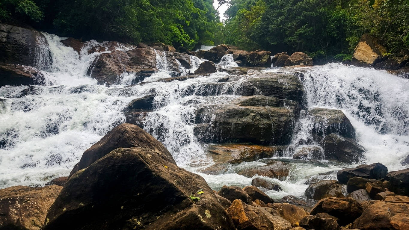 Kanneliya Rainforest Entrance